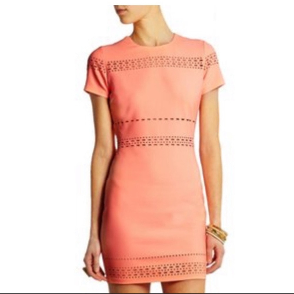 Elizabeth and James Laser Cutout Ari Dress Size 4